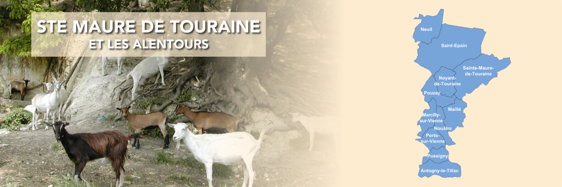 Sainte Maure de Touraine et les alentours