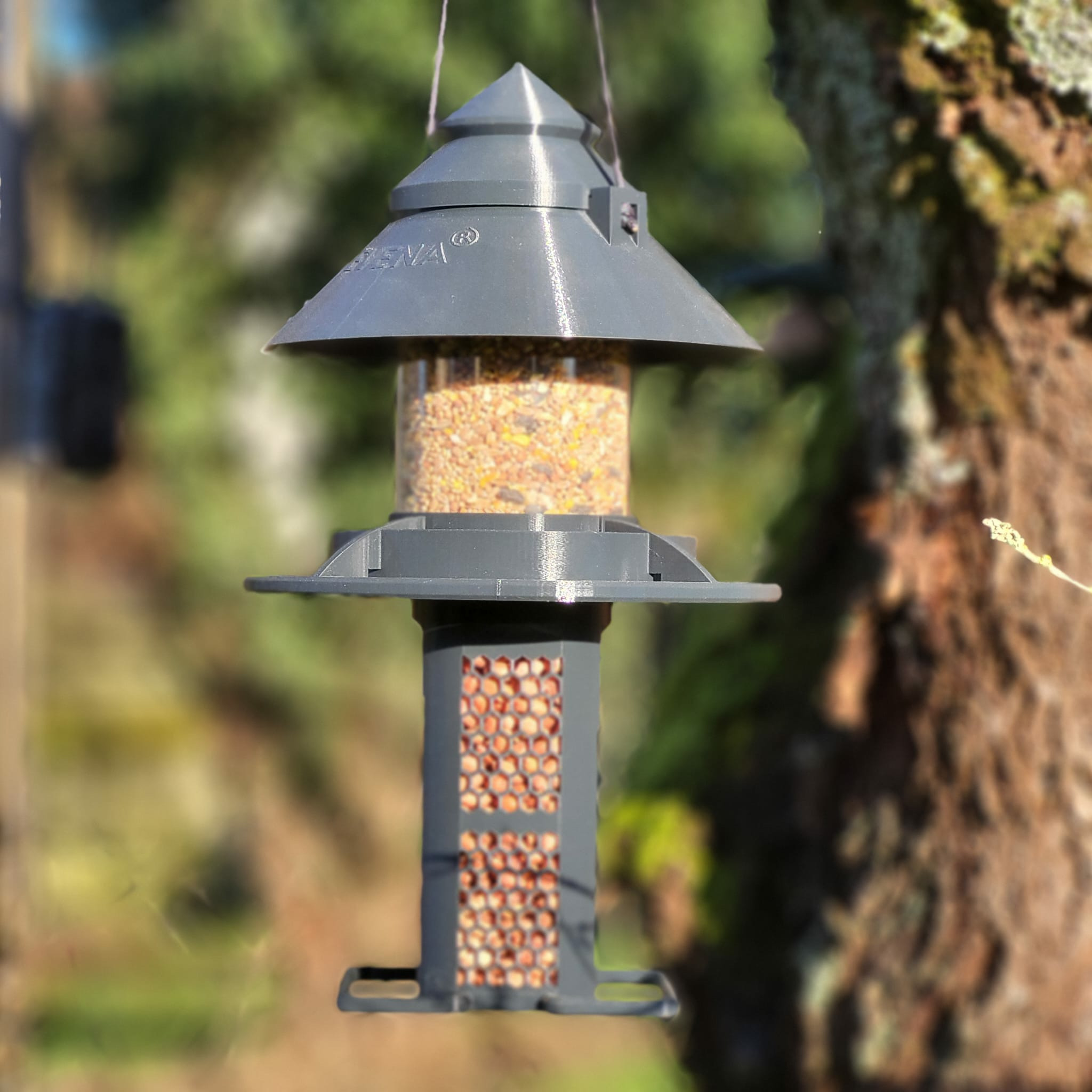 Mangeoire à Oiseaux Suspendue En Métal - Distributeur De Cacahuètes Avec Trous D'évacuation - Vert