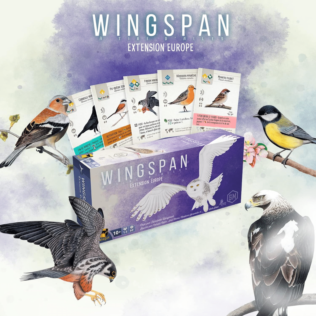 Wingspan - extension Les oiseaux d'Europe - sortilèges