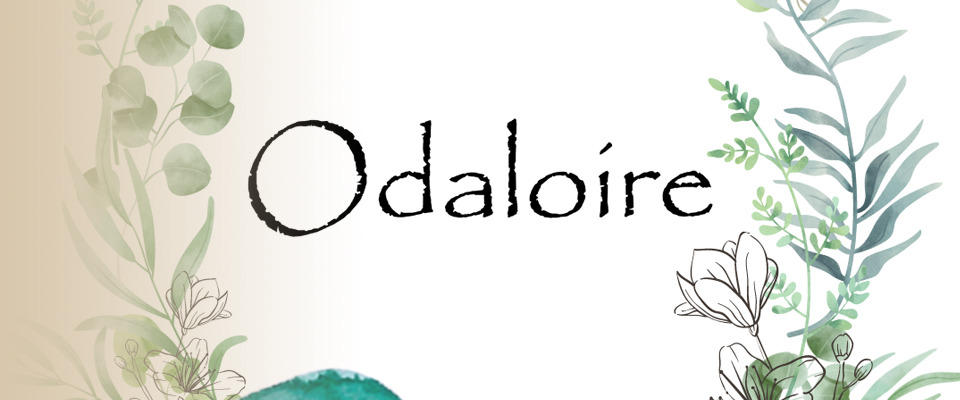 photo du magasin du marchand Odaloire
