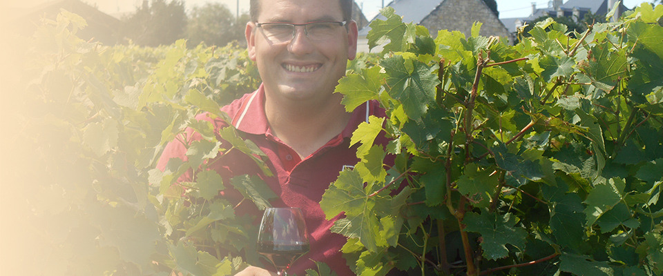 photo du magasin du marchand Vignoble le gros caillou