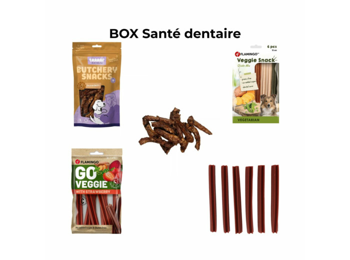 BOX Santé bucco dentaire pour chien