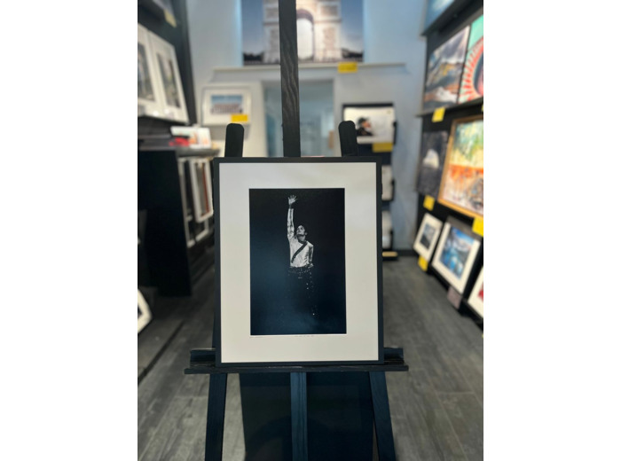 The king of the pop - Jan Werner