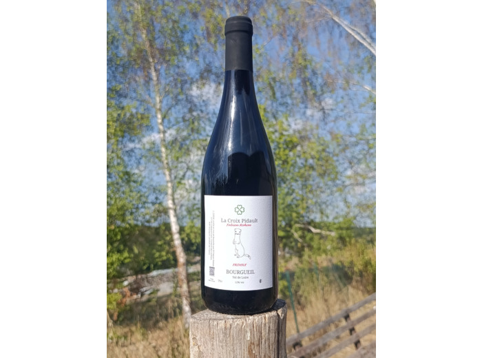 Frivole 2024, la Croix Pidault , vin de Bourgueil