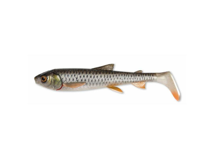 3D whitefish shad 23cm