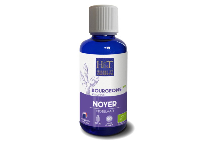 Bourgeon de Noyer bio-50ml-Herbes et Traditions