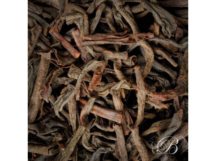 Ceylan Kenilworth O.P.