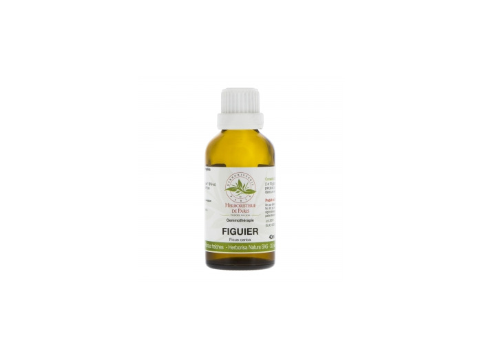 Figuier macérat de Bourgeons bio 40ml