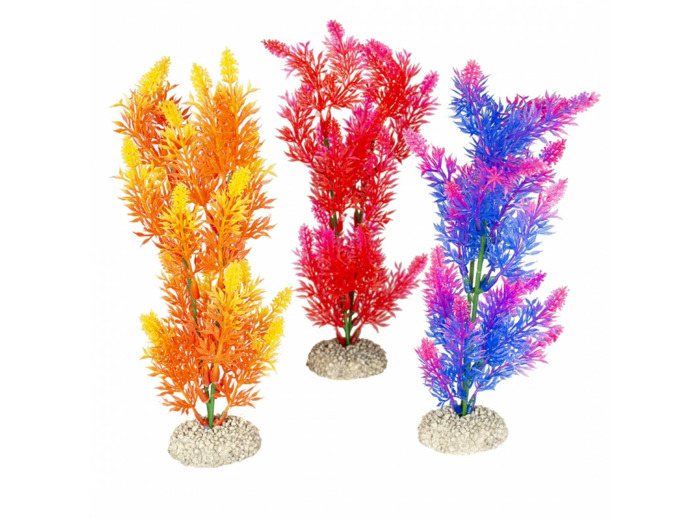 Plante Elodea Densa - 25cm