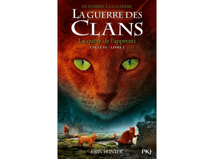 LA GUERRE DES CLANS - CYCLE VI DE L'OMBRE A LA LUMIERE - TOME 1 LA QUETE DE L'APPRENTI