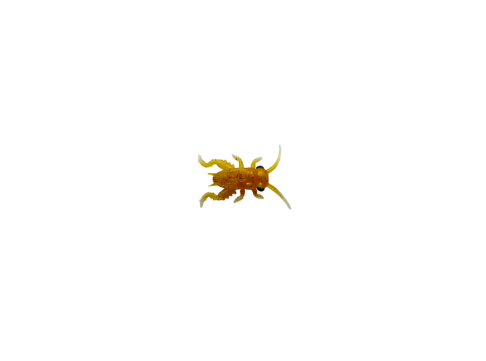 3 grillons 3cm peper  delalande