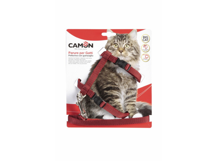 Harnais + laisse pour grand chat