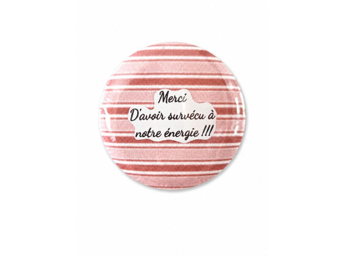 Merci d'avoir survécu à notre énergie-Magnet drôle pour enseignant