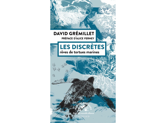 LES DISCRETES - REVES DE TORTUES MARINES
