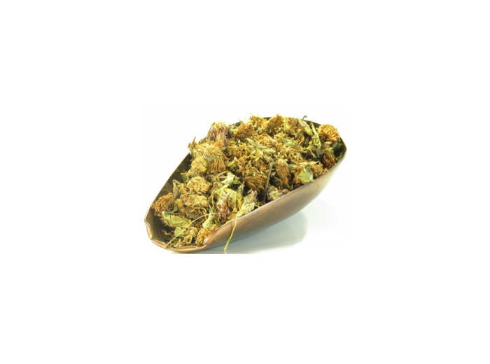 Trèfle rouge fleur 100 gr