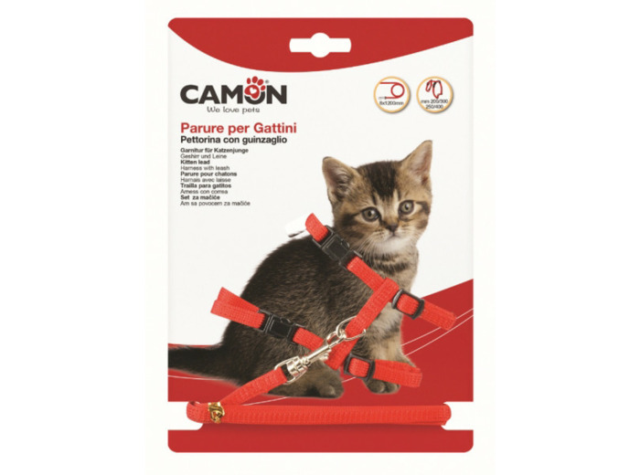 Harnais + laisse en nylon pour chaton - 1,2m de long