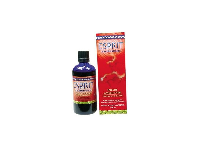 PARFUM D'AMBIANCE ESPRIT AMERINDIEN 100 ML ENCENS LIQUIDE