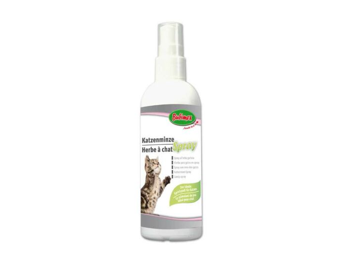 Spray Herbe à chat - 150ml