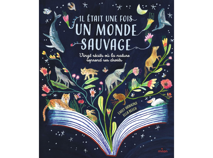 IL ETAIT UNE FOIS UN MONDE SAUVAGE