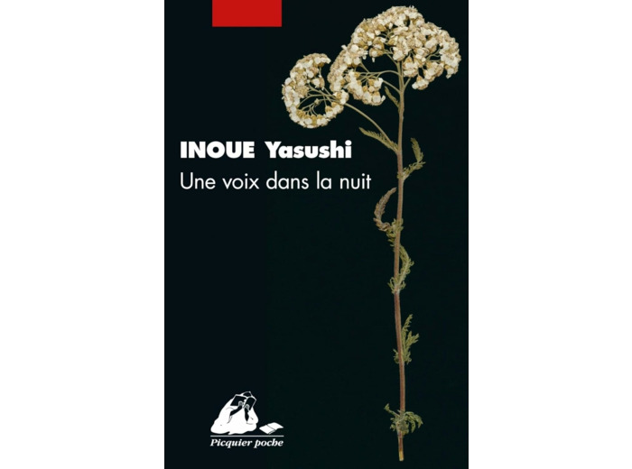 UNE VOIX DANS LA NUIT