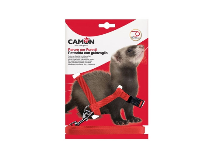 Harnais + laisse pour furet avec couleur unie - 1,8m de long