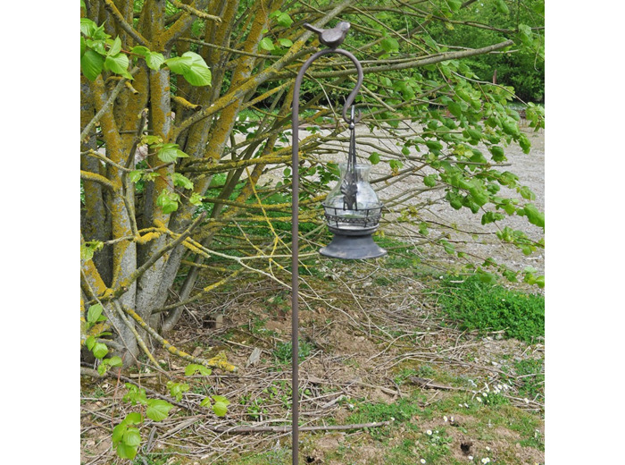 Tuteur crochet oiseau 6x12x155cm