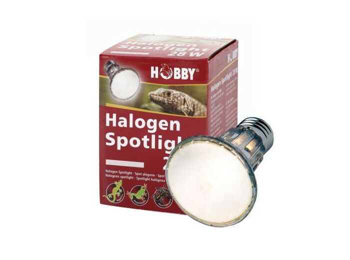 Spot halogène Hobby - 28W