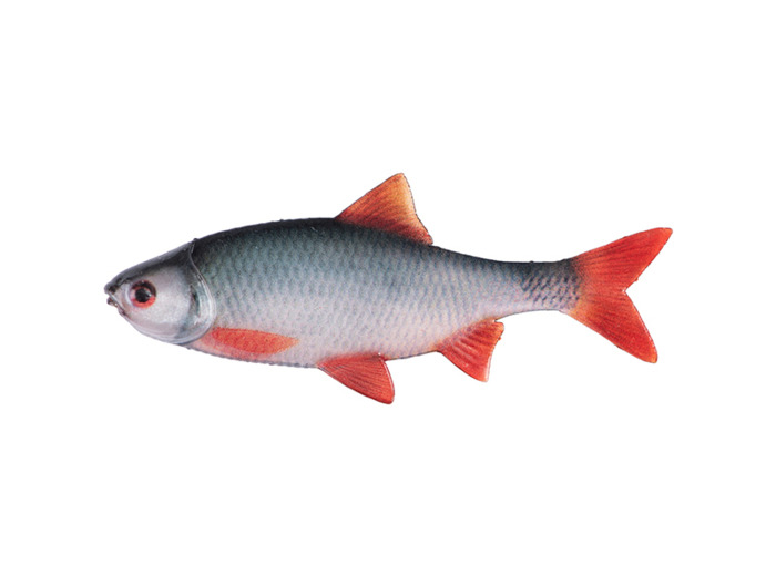 4ultra natural roach fillet 6cm