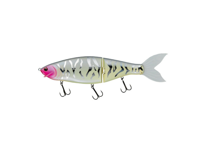 laughin 300 blush tiger