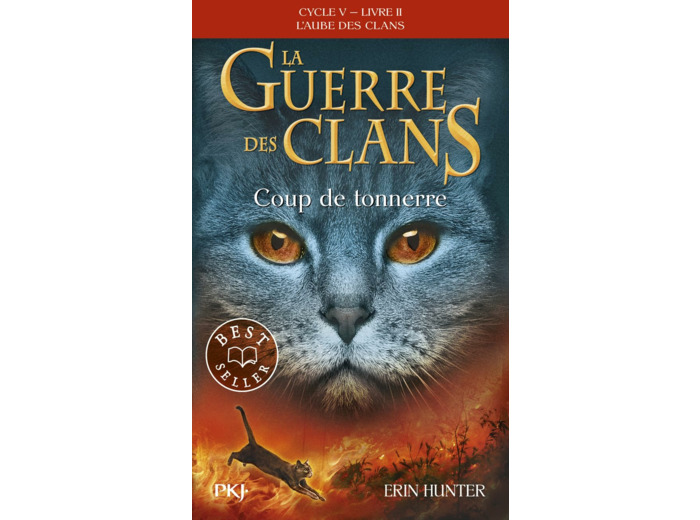 LA GUERRE DES CLANS CYCLE V - TOME 2 COUP DE TONNERRE - VOL02