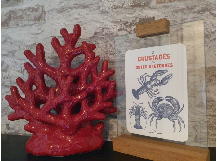 Carte Crustacés des côtes Bretonnes