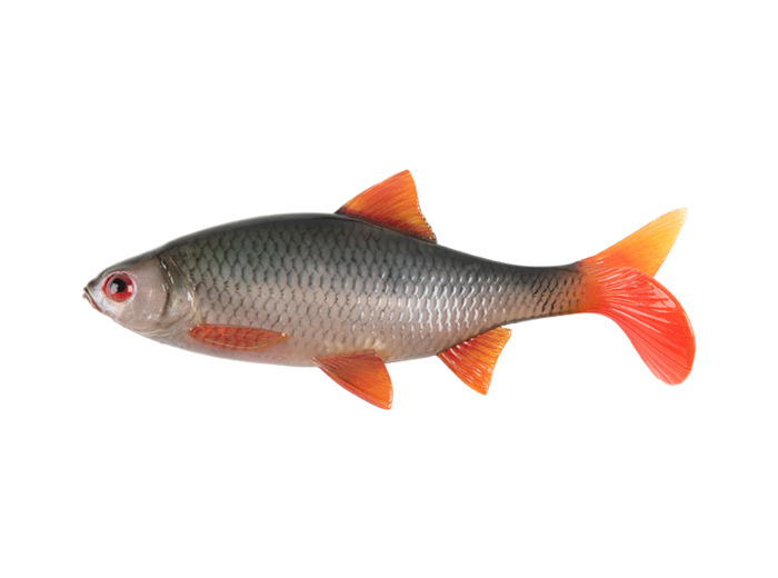ultra natural roach 18cm fox rag