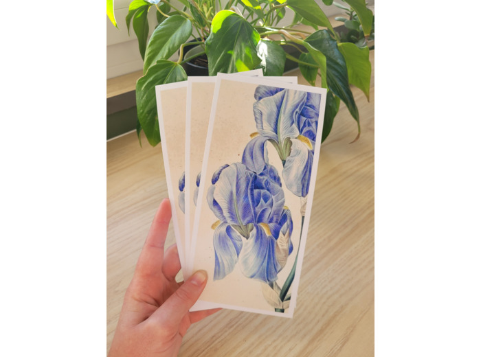 Carte fleur de naissance - Février