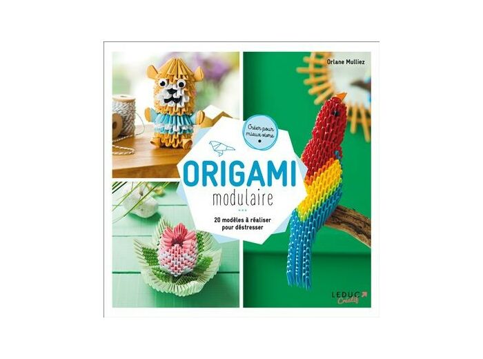 Origami modulaire
