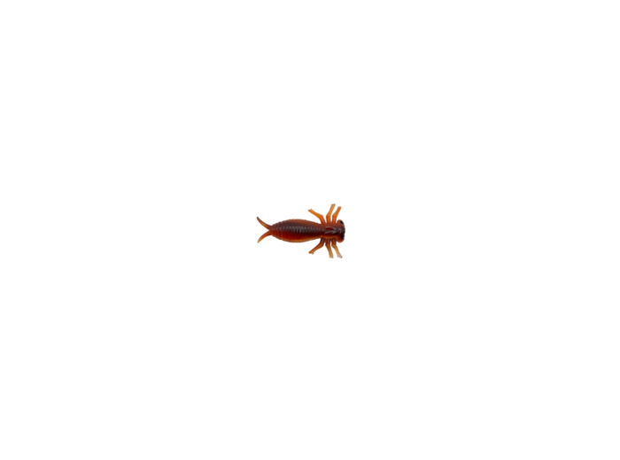 3 morbak rouille 5cm delalande