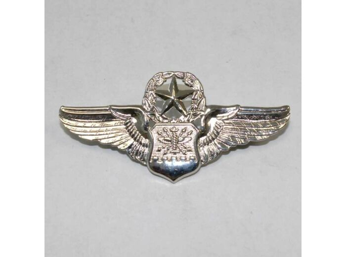 Insigne US Air Force commandant navigateur