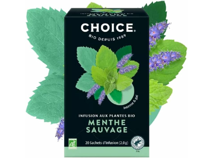 Infusion menthe sauvage 20x2g Choice