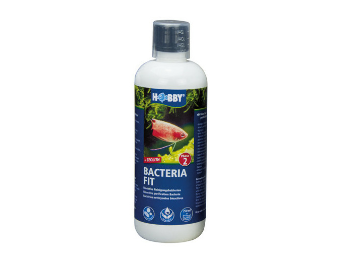 Bacteria FIT - 250ml