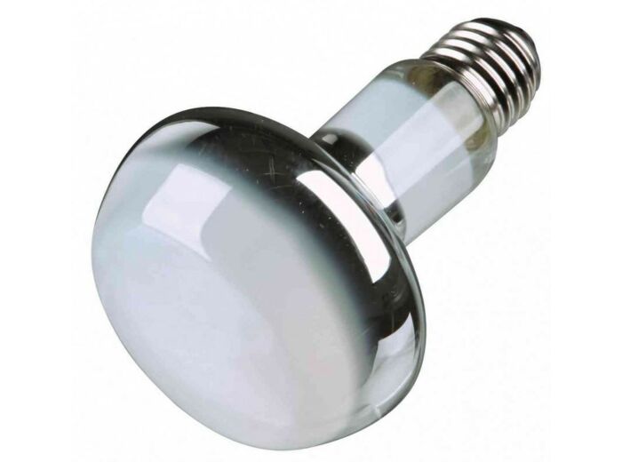 Lampe spot à chaleur ø 80 × 108 mm - 50W