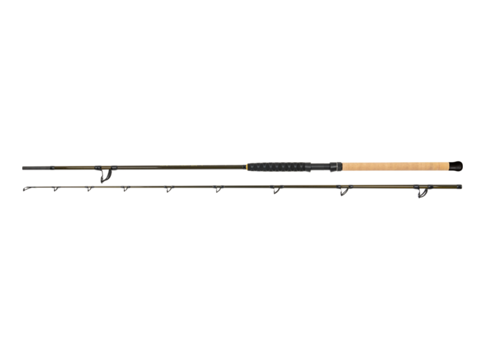 canne elite bank 2.8m 180-300gr