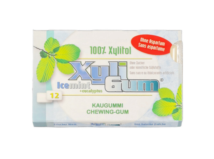12 Chewing Gum Goût Menthe 17 g