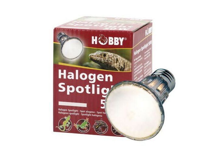 Spot halogène - 50W