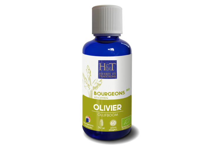 Bourgeon d'Olivier bio-50ml-Herbes et Traditions