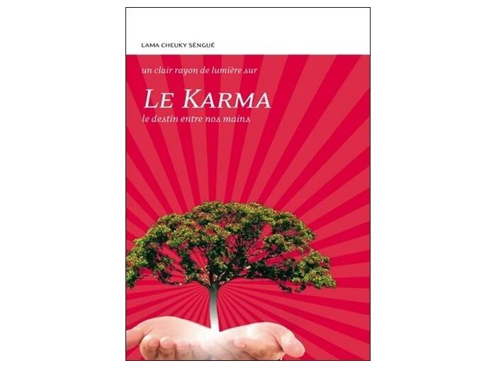 Le Karma - Le destin entre nos mains