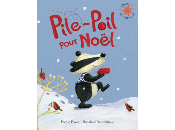 PILE-POIL POUR NOEL