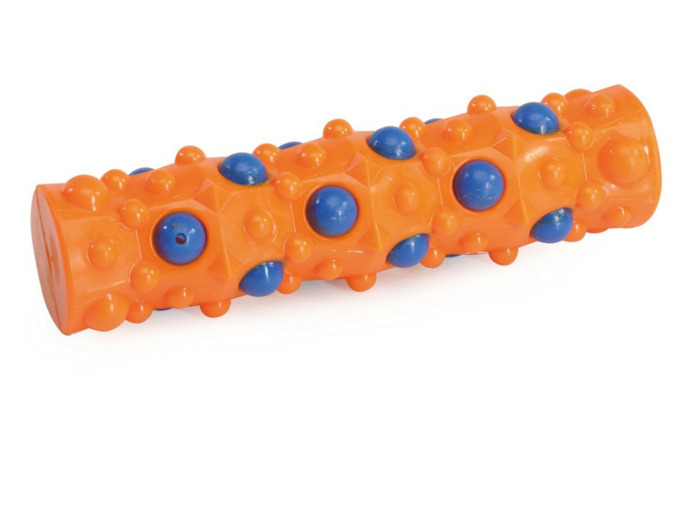 Jouet chien, Cylindre TPR - 20cm