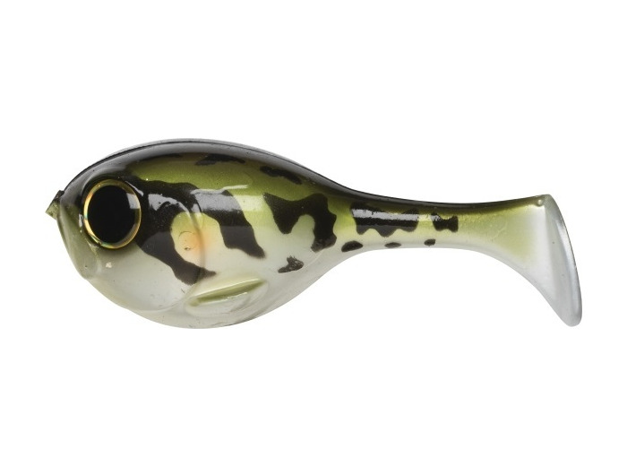 deraball tonsonoma frog illex