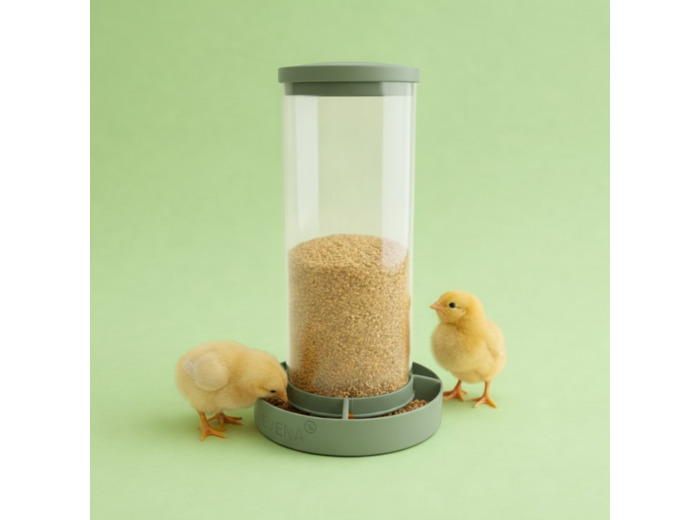 Vitéa – Mangeoire évolutive pour poussins et cailles
