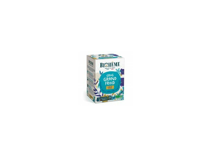 Infusion grog grand froid 20x1.2g Biohême