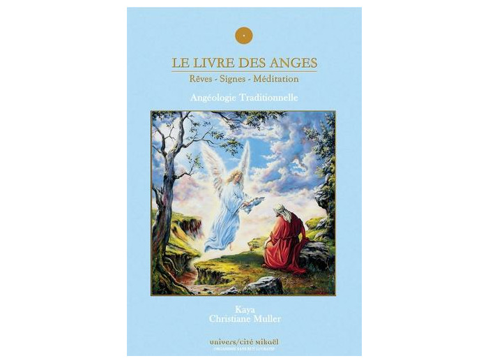 Le livre des anges Tome 1- Les secrets retrouvés
